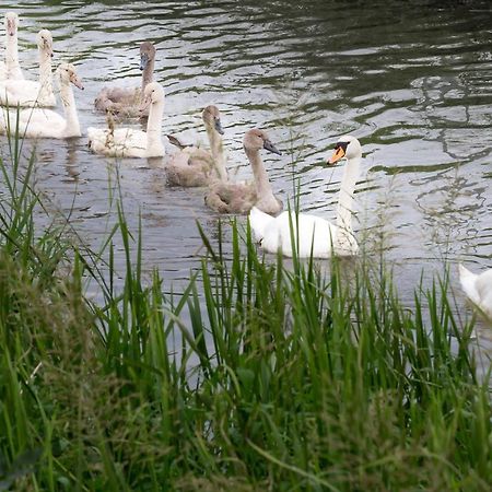 L'Attrap'Reves : Le Confort Hotelier, La Convivialite En Plus Ergersheim Bagian luar foto